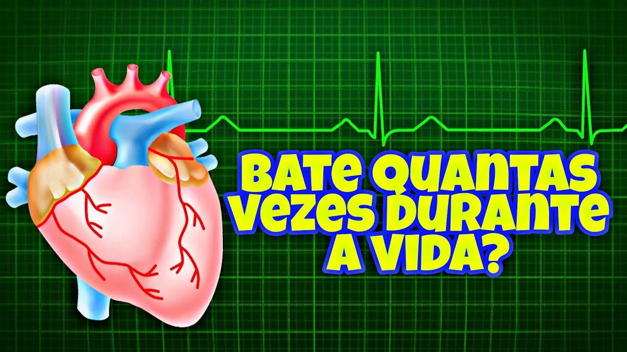 Quantas vezes o CORAÇÃO BATE durante a VIDA? Quanto de SANGUE é ...