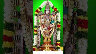 Download Lagu Venkateswara Swamy Suprabhatam by ms subba Lakshmi #music #song #devotionalsongs #venkateswaraswamy MP3
