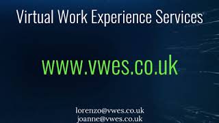 Virtual Work Experience and Careers Programme Options