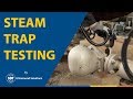 Steam trap testing using ultrasound
