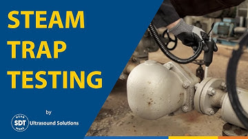 Steam trap testing using ultrasound