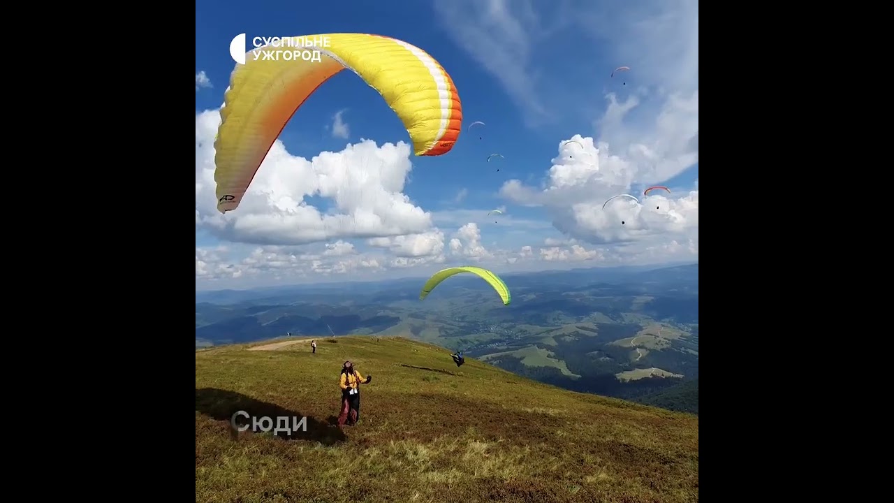 Найдовша гірська полонина Закарпаття #shorts #гори #закарпаття #боржава #краса #природа