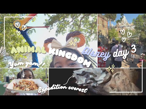 Animal Kingdom | Disney Day 3, Part 1| Expedition Everest, Kali River Rapids, Pandora