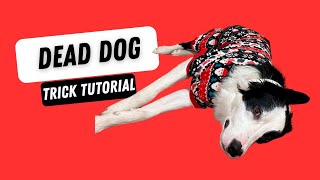 Play Dead (Dead Dog) - Tutorial for DMWYD - YouTube