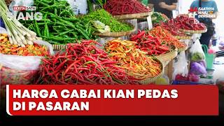 Download lagu 🔴 LIVE | Harga Cabai Kian Pedas di Pasaran - Beritasatu Siang