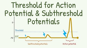 Threshold for Action Potential & Subthreshold Potentials
