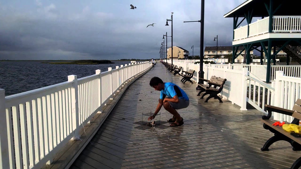 Crabbing in Barnegat NJ YouTube