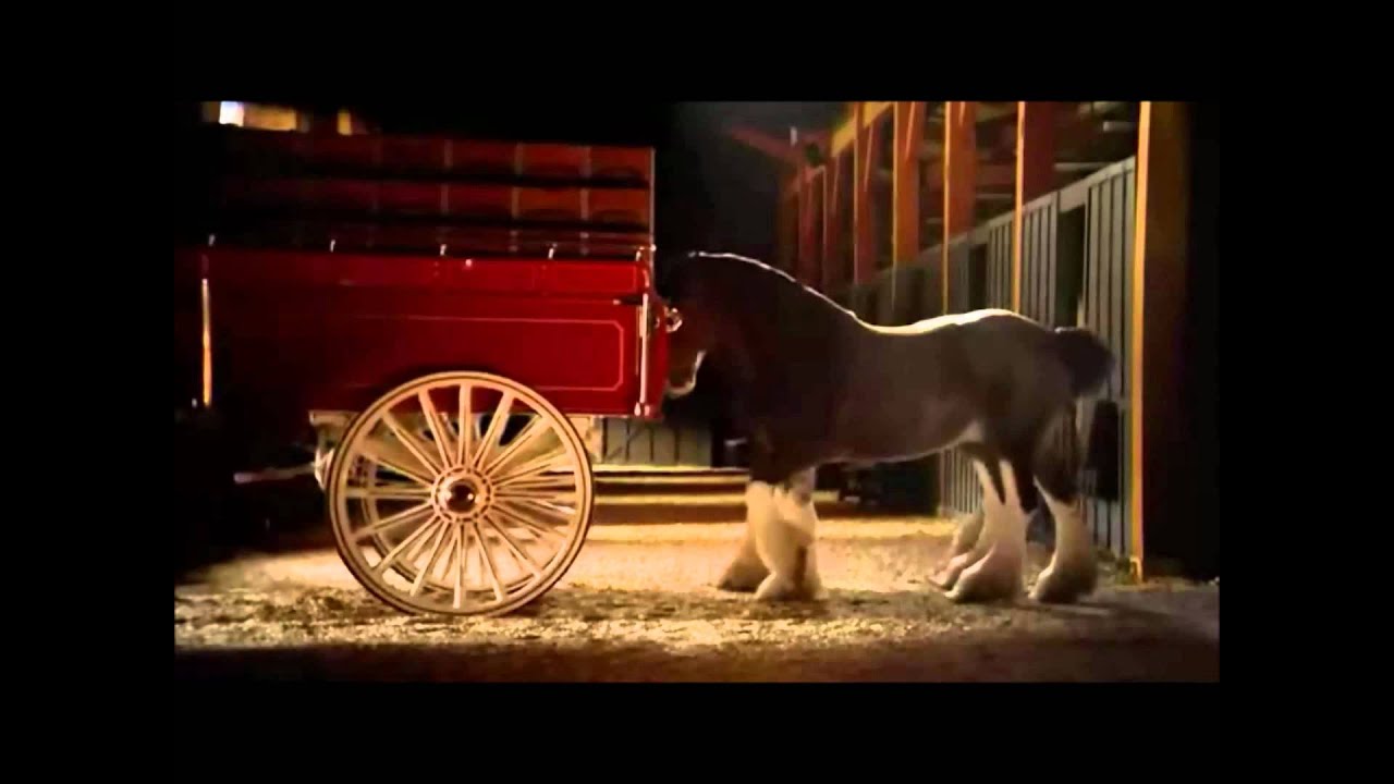 Budweiser Clydesdale Commercial YouTube