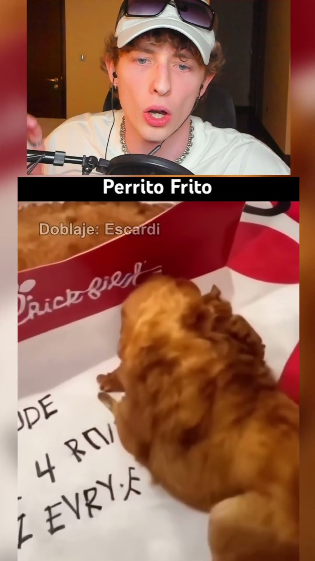 Comida o un PERRO❓❓?