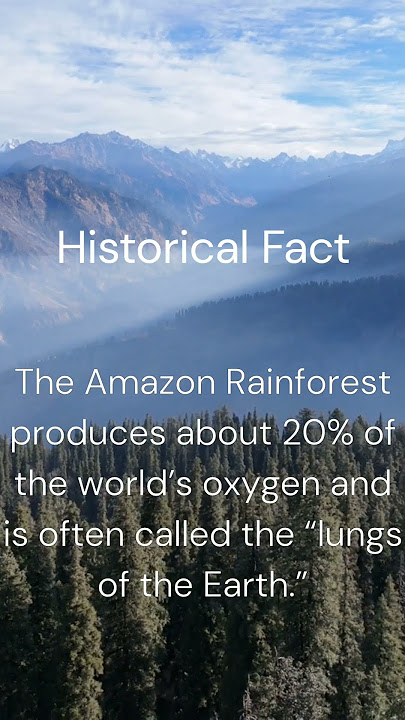 The Amazon Rainforest produces about 20% of the world’s oxygen #amazonrainforest #amazonfire #rain