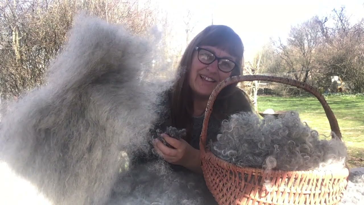 Preparing my Gotland wool for spinning