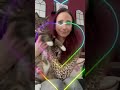 Miniature de la vidéo de la chanson Virus