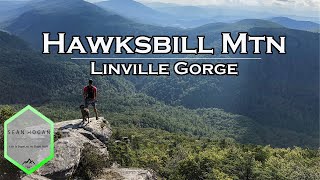 Download Lagu Hawksbill Mountain, Linville Gorge, North Carolina -- Drone Footage Download Lagu Hawksbill Mountain, Linville Gorge, North Carolina -- Drone Footage