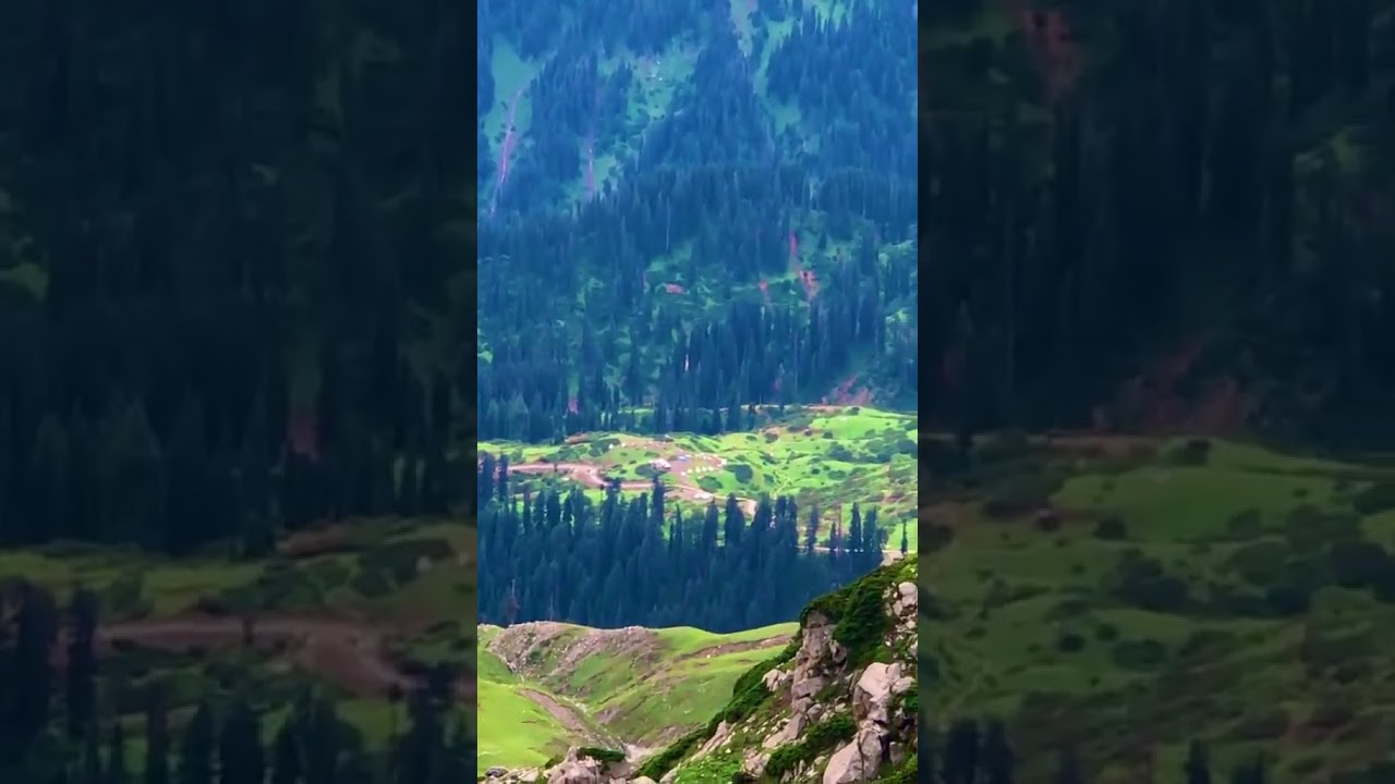 Gaban Jabba: The Natural Paradise of Swat Valley 🌿🏔️ 
