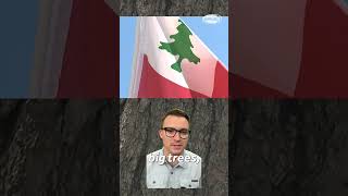 New Hampshire's Pine Tree Riot set stage for Revolution