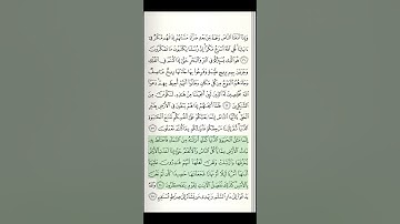 سورة يونس 🌹🤍|| مشاري راشد العفاسي #قرآن #السعودية #quran