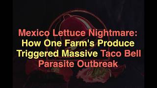 Mexico Lettuce Nightmare: How One Farms Produce Triggered Massive Taco Bell Parasite Outbreak