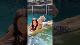 Why Did a Dubai Girl Raise a Lion Cub What Happened Next Will Shock You😱 #dubaiprincess #shortsvideo
