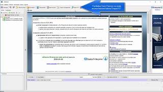 Modul Deviz Express (Import F3) screenshot 5
