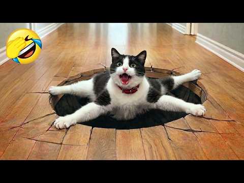 Do not laugh, do not smile 😆 CUTE & FUNNY pets!🐱🐶