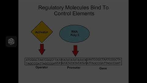 Ch 18, Parts 1 & 2 Lecture  Control of Gene Expression