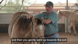 Tip To Relax Your Horse's Poll - The Masterson Method
