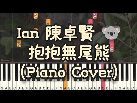  抱抱無尾熊 - Ian 陳卓賢
