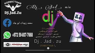ليال عبود احلى زفة - ريمكس - Dj جاد زبيدات