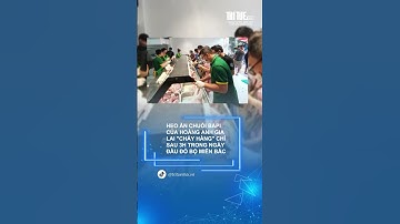 Heo Ăn Chuối Bapi Của HAGL "Cháy Hàng" Chỉ Sau 3h Trong Ngày Đầu Đổ Bộ Miền Bắc |Trí Tuệ Mới|