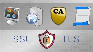اللاعبون الرئيسيون في SSL وTLS: العميل والخادم والمرجع المصدق (CA) - TLS العملي