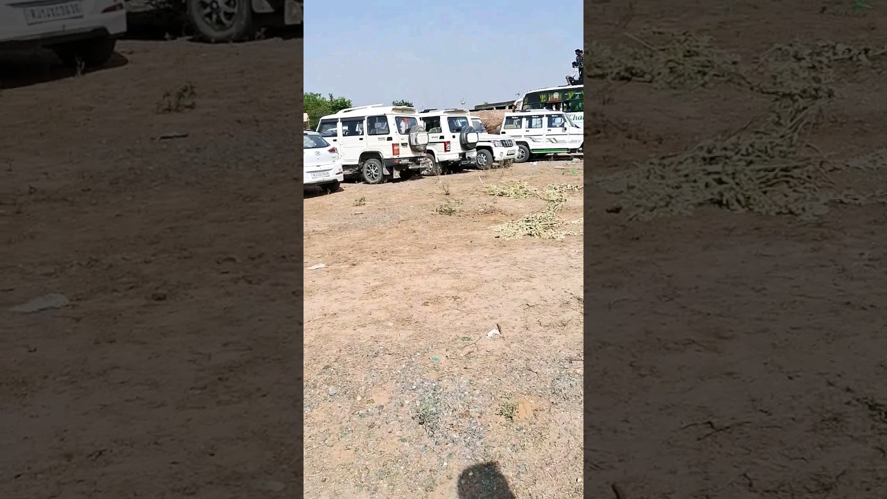 Mahindra bolero 2024 