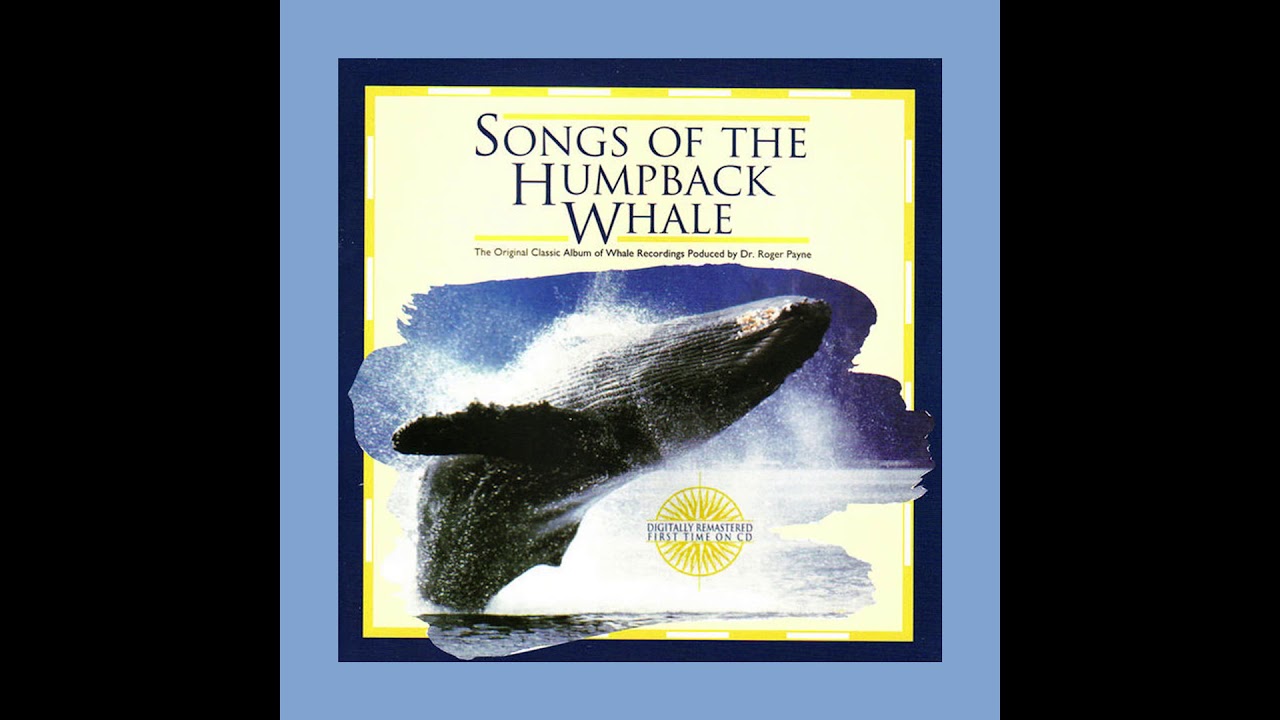 Tower Whales” - Songs of the Humpback Whale - YouTube