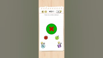 brain test week : 7 circle⭕⭕⭕