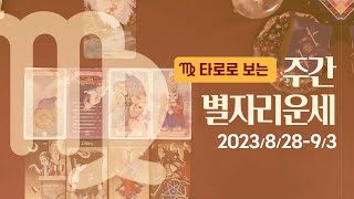 [타로/종합운] 2023년 8월 다섯째주 별자리 운세 (8/28 ~ 9/3)