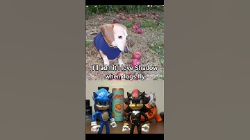 Thumbnail of ill admit i love shadow when dogs fly 😂