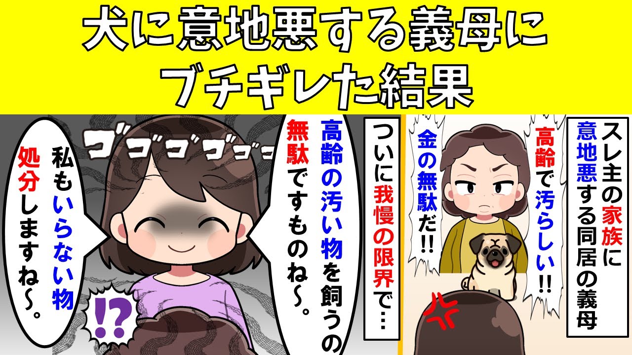 【修羅場】犬に意地悪する義母にブチギレた結果
