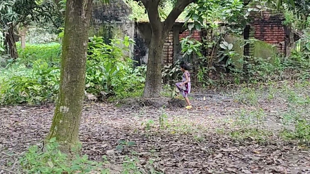 Aditi playing in mango tree garden 🏡