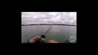 BASS FISHING!!! #shortvideo #shorts #short