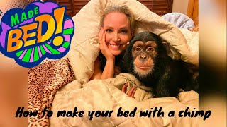 How to make your bed with a chimp!