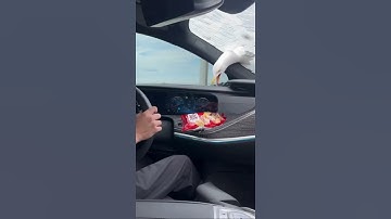 Seagull Breaks Benz Window for Snacks  #wildlife #seagull #accident