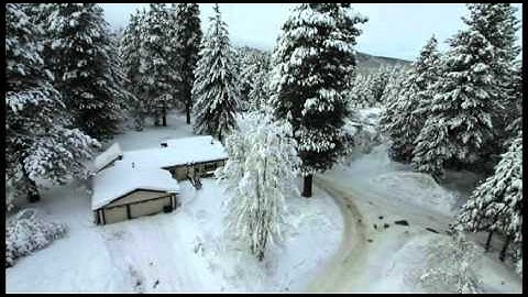 hoverfly-ps1-test2.mov