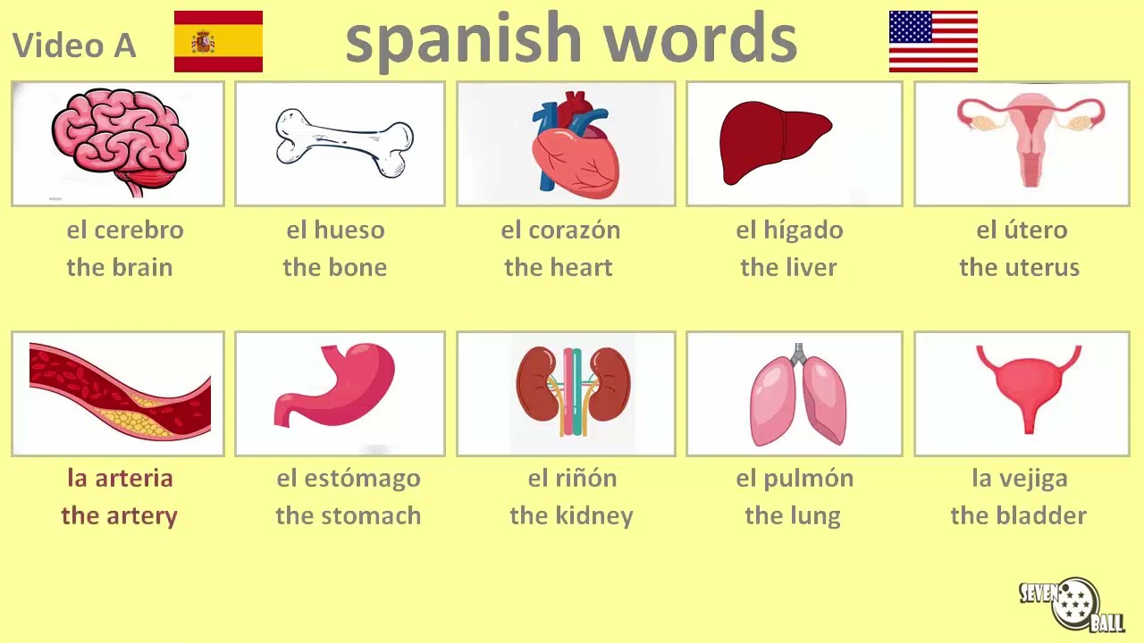 Spanish Class Body Part In Spanish YouTube Spanish Class Body Part In Spanish YouTube