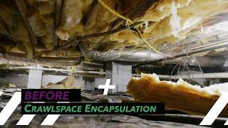 This Crawlspace Was DESTROYING the Home Until We Did THIS…