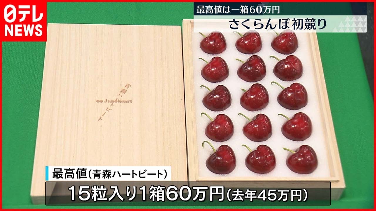 最高値は1粒4万円】青森県産の高級サクランボ初競り - YouTube