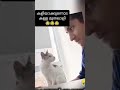 എനിക്കിതത്ര ഇഷ്ടപ്പെടുന്നില്ല