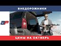 Цены на Внедорожники на Руставском рынке Autopapa октябрь 2019 (часть1)