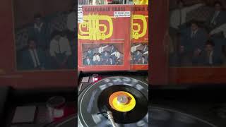 los diablos - dancing in the sun (un rayo de sol) english version