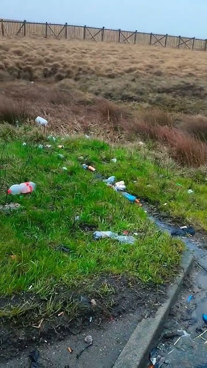 is-littering-an-offence-in-your-country-plastic-littering-cat
