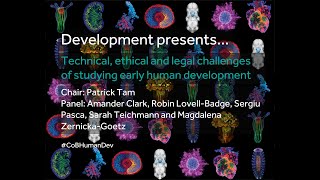 Development presents... Technical, ethical and legal challenges of studying early human development