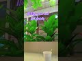 Office time -Chill moments 🦋❤️ #viralvideo #shortvideo #shorts #lovely #unboxing #entertainment